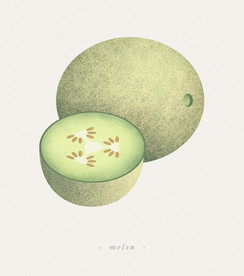 水果哈密瓜psd免抠素材