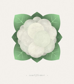 白色兰花psd免抠素材