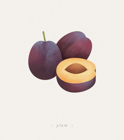 水果李子psd免抠素材