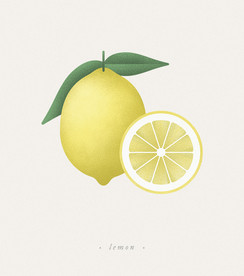 水果青柠檬psd免抠素材