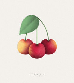 水果大樱桃psd免抠素材