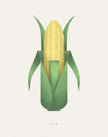 玉米矢量psd免抠素材