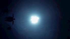 深海畅游的海龟