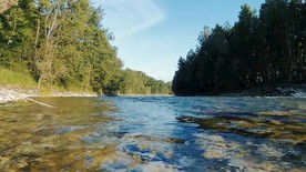 蓝天森林清澈河流
