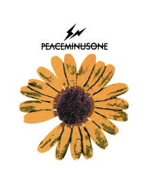 雏菊 T恤图案 闪电 闪电菊花