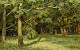 希施金树林风景油画