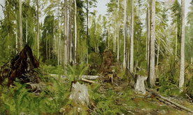 希施金树林风景油画