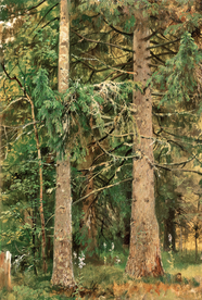 希施金树林风景油画