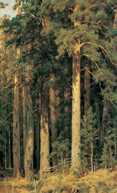 希施金树林风景油画