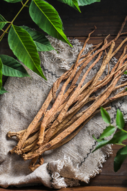 中药药材复古养生背景素材