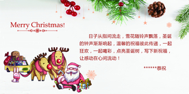 圣诞节购物活动体验券优惠券