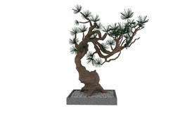 松树3d模型