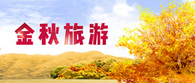 十一banner