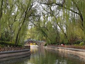 迎泽公园风光