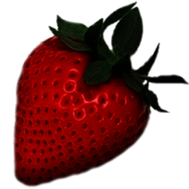 草莓