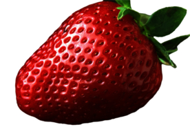 草莓