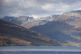 山水
