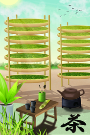 茶叶晒茶传统卡通插画素材