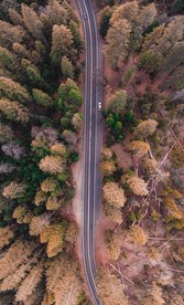 山水  森林一角 唯美  图片