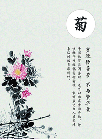 梅兰竹菊君子风公益宣传素材