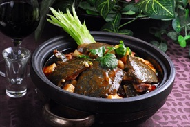 砂锅炖甲鱼