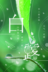 小清新白露节气海报