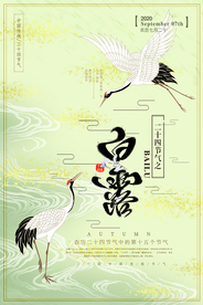 清新白露创意海报