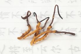 中药药材养生保健传统素材