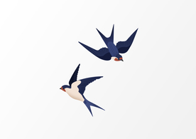 燕子小鸟插画卡通背景素材