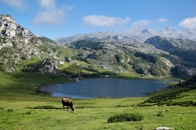 山水