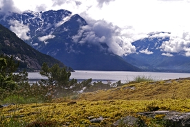 山水