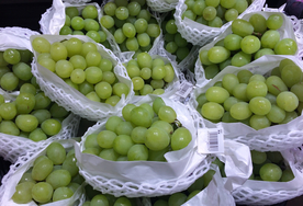 新鲜的葡萄素材