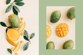 芒果背景素材