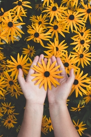 插花 花艺 摆盘花 典雅 雅致