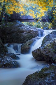峨眉山半山溪流