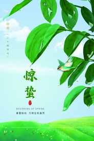 惊蛰传统节日活动海报素材