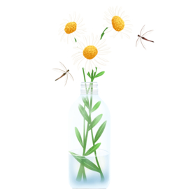 花瓶绿植插画清新海报素材