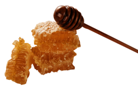 蜂蜜美食食物食材海报素材