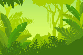 森林风景插画插图