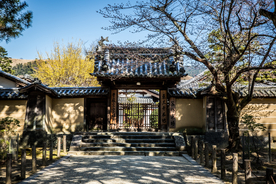 庭院