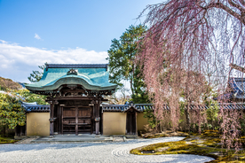 庭院