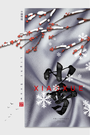 大气简约小雪海报