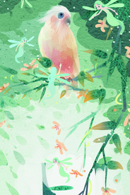 鹦鹉精灵清新插画背景素材