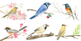 小鸟简笔清新插画卡通背景素材