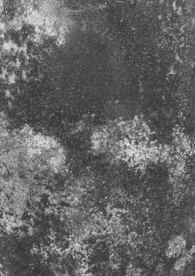 复古半色调磨损纸张线条