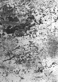 复古半色调磨损纸张线条