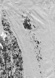 复古半色调磨损纸张线条