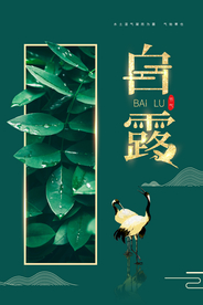 白露传统节日活动宣传海报素材