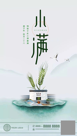 小满节气海报