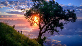 日出树木湖泊倒影天空唯美图片